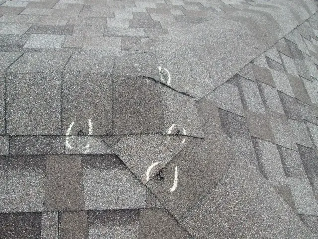 damage roof insurance