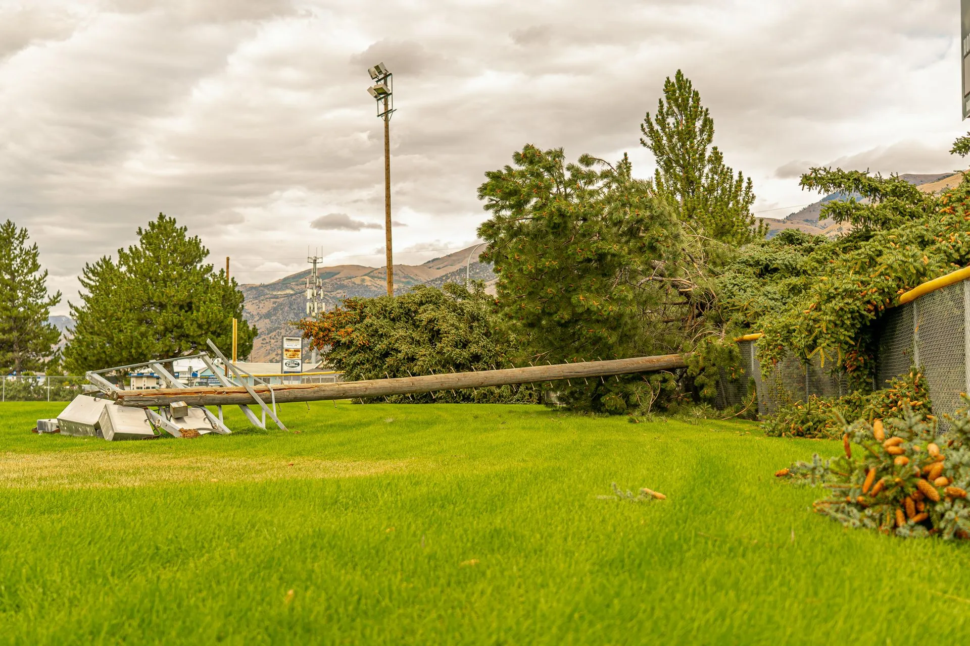 Storm Damage Insurance Claims Adjuster Texas