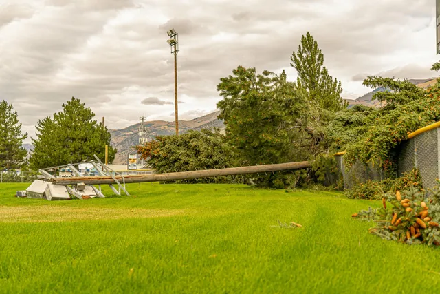 Storm Damage Insurance Claims Adjuster Texas
